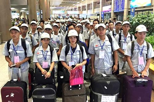 Nhiều cơ hội việc làm tại thị trường uy tín