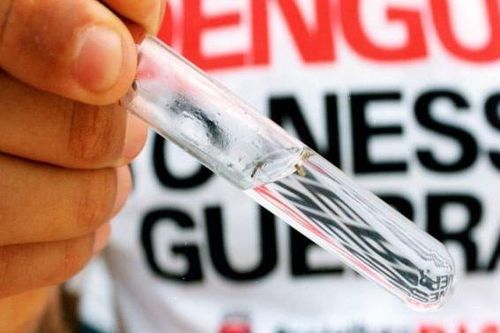 Cảm biến nano vàng phân biệt virus sốt xuất huyết và virus Zika