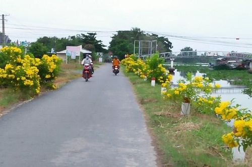 Mặt trận Gò Quao nở rộ nhiều mô hình hay