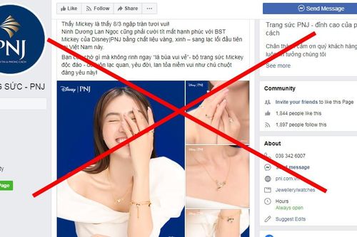 Nhái thương hiệu lớn để lừa đảo bán hàng online