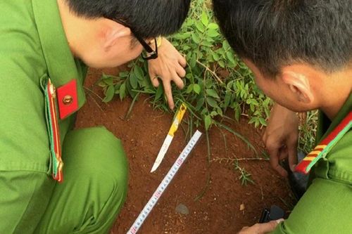 Đầu thú sau khi đâm chết em trai