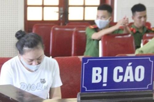 Nữ cán bộ địa chất giả danh cảnh sát kinh tế đi lừa đảo