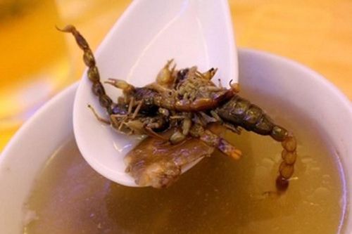 Món súp bọ cạp kinh dị của Trung Quốc khiến du khách 'khóc thét'