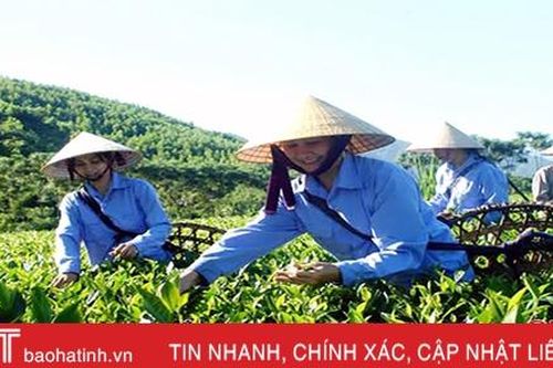Khai thác tiềm năng 3 vùng sinh thái, nâng cao giá trị cho nông sản Kỳ Anh