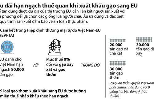 Ưu đãi hạn ngạch thuế quan khi xuất khẩu gạo sang EU