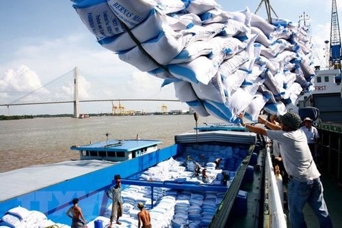 Doanh nghiệp xuất khẩu gạo chủ động tìm đối tác tại EU