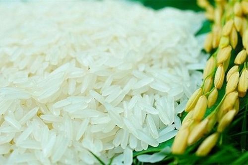 Giá lúa gạo hôm nay ngày 14/8: Giá gạo trong nước giảm