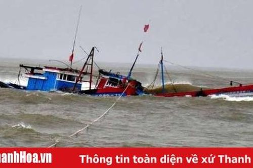 Kịp thời cứu vớt 5 ngư dân Hậu Lộc bị chìm tàu