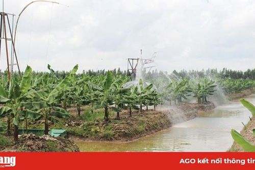 Đột phá nông nghiệp