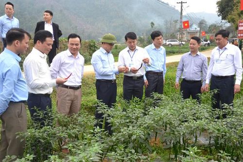 Phát triển nông nghiệp hàng hóa gắn với thị trường tiêu thụ