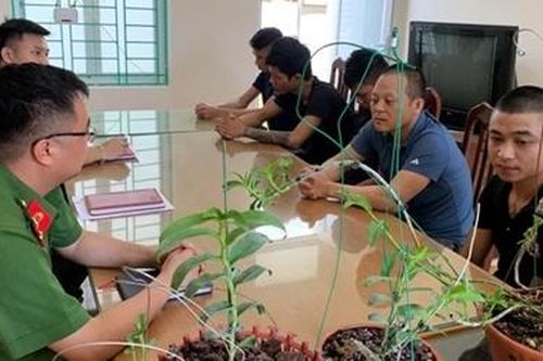 Cảnh giác với chiêu trò lừa đảo thông qua giao dịch Hoa Lan