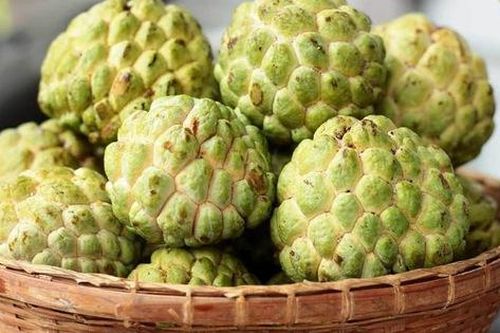 Đây là 3 nhóm người dù có thèm đến mấy cũng nên kiêng ăn na, khi ăn cần lưu ý tránh 5 điều này