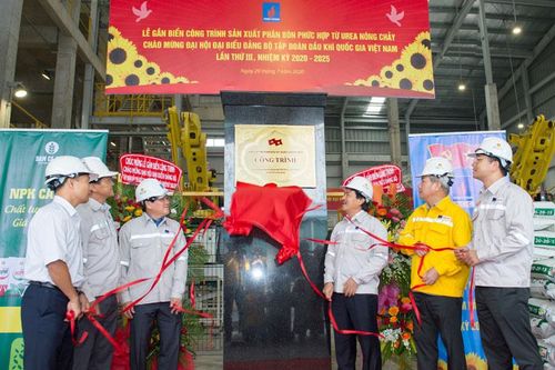 Vượt khủng hoảng kép, PVN đưa các dự án về đích