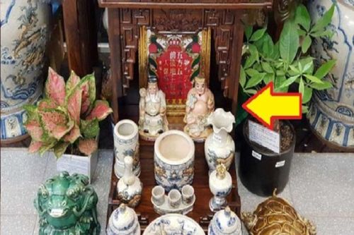 Bàn thờ thần Tài nhất định phải có 5 thứ này, không được thiếu