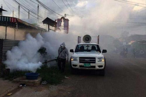 Chikungunya nguy hiểm đến mức nào?