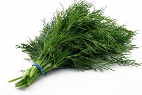Mỗi ngày dùng một nắm rau rẻ bèo này, điều kỳ diệu sẽ xảy ra