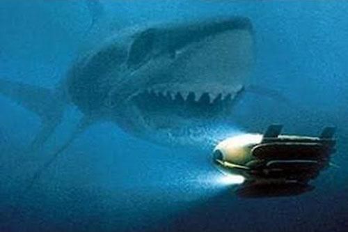 Khám phá về loài 'quái vật đen' huyền thoại, sinh vật còn đáng sợ hơn cả Megalodon