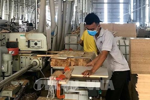 Tổng cục Hải quan tháo 'vướng' cho doanh nghiệp xuất khẩu mặt hàng gỗ cao su dạng tấm