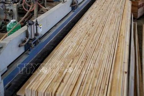 Xây dựng thị trường đồ gỗ minh bạch, hợp pháp