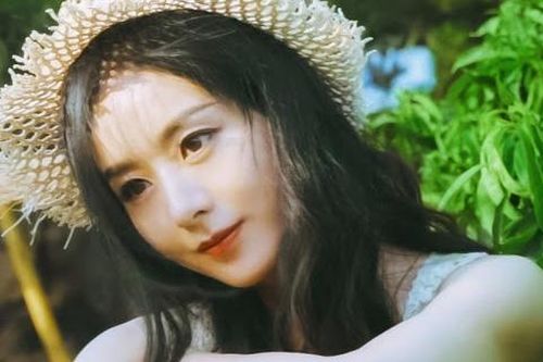 Từ số 0 tròn trĩnh đến quá trình có được tất cả, 'cô gái nông thôn' Triệu Lệ Dĩnh đã 'lột xác' như thế nào trong 6 năm qua?
