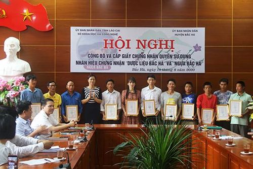 Bắc Hà: Thêm 2 sản phẩm được chứng nhận quyền sử dụng nhãn hiệu