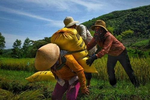 Chuyện 'bao đồng' ở vùng cách ly
