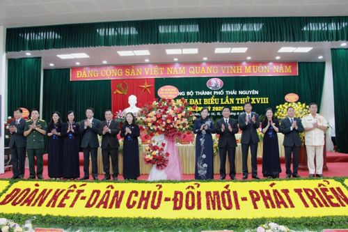 Ông Phan Mạnh Cường được bầu giữ chức Bí thư Thành phố Thái Nguyên