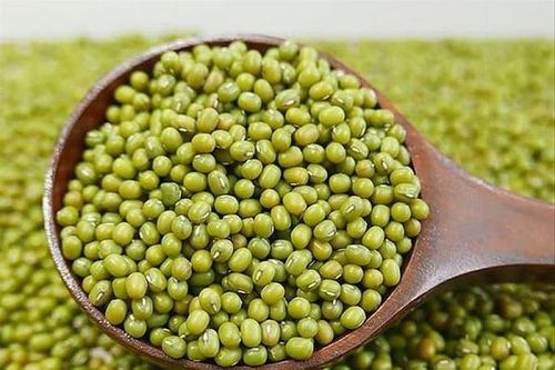 7 công dụng của nước đậu xanh rang đối với sức khỏe