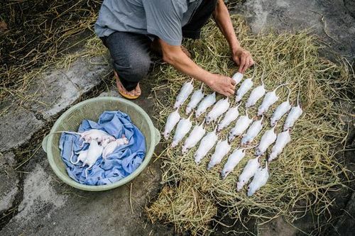 Được ăn món 'kinh dị' của Việt Nam, phản ứng của phóng viên Mỹ khiến ai cũng bất ngờ