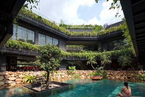 Biến toàn bộ khoảng sân thành bể bơi, ngôi nhà như khu rừng nhiệt đới thu hút cả ong bướm
