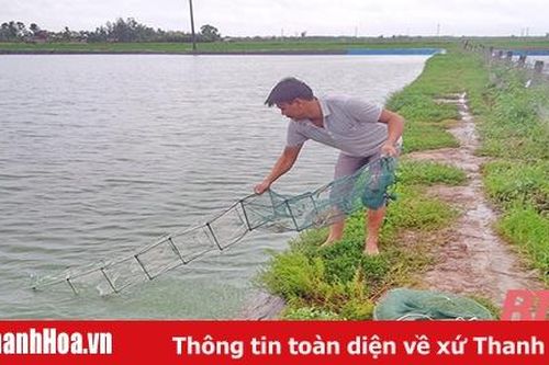 Quản lý các cơ sở kinh doanh ngư lưới cụ