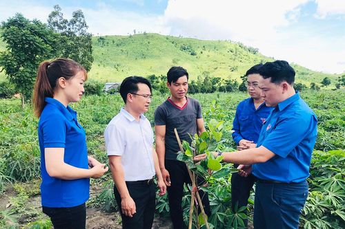 Bàn giao công trình, phần việc thanh niên tại xã Chư A Thai