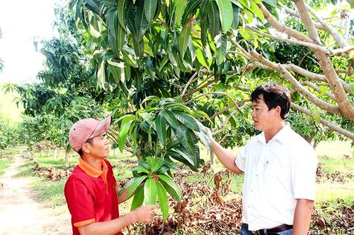 Chủ doanh nghiệp năng động