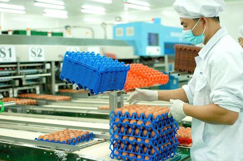 Khơi dậy tiềm năng phát triển nông nghiệp công nghệ cao