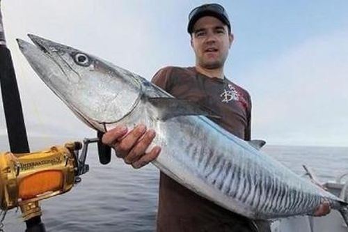Người đàn ông tử vong vì con cá thu 18kg lao trúng ngực