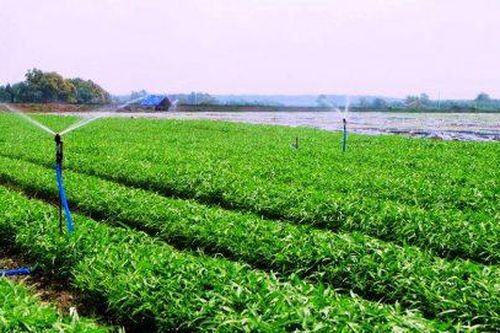 Nghiên cứu thông tin báo nêu liên quan đến sản xuất nông nghiệp