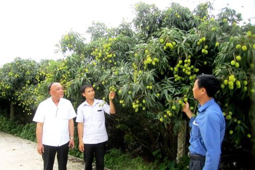 Thành quả xây dựng nông thôn mới ở Hưng Yên