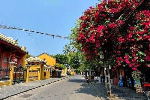 Phố cổ Hội An vắng lặng, đìu hiu những ngày dịch Covid-19