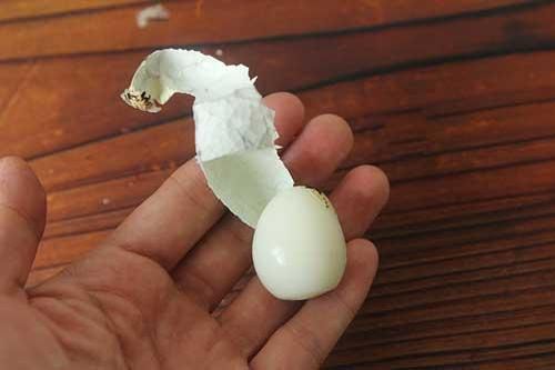 Mẹo luộc trứng cút thơm ngon, không cho trực tiếp vào nồi vỏ trứng tự động bong ra