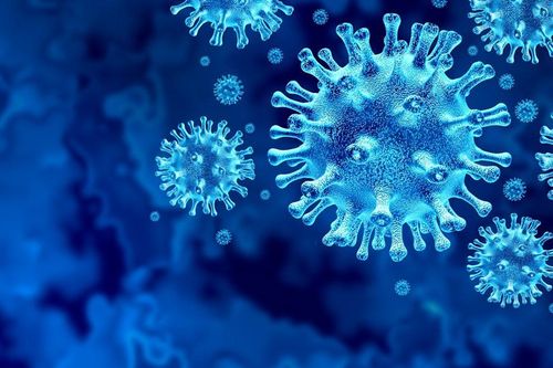 Phát hiện gây sốc: Virus corona chủng mới bắt nguồn từ một khu mỏ vào năm 2012