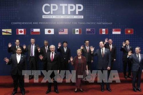 Thái Lan 'nghiên cứu thêm' việc tham gia CPTPP