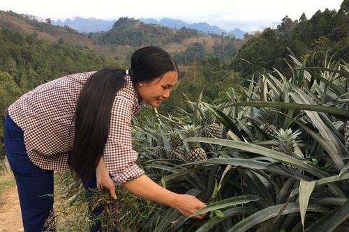 Tiền đề để Lùng Vai sớm 'cán đích' nông thôn mới nâng cao