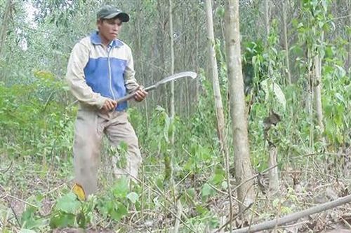 Lập nghiệp trên đất khó