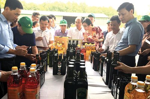 Tập trung khai thác tốt tiềm năng, lợi thế của địa phương, đưa Cam Lộ ngày càng phát triển