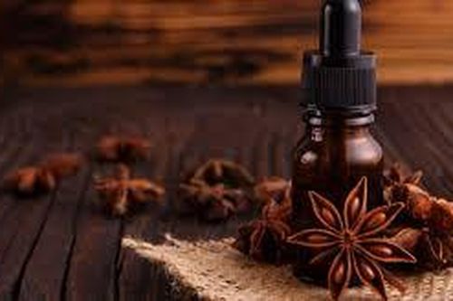 Ly trích tinh dầu từ quả đại hồi khô (Illicium verum)
