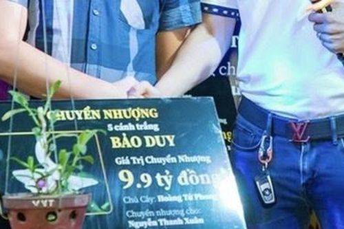 'Hết hồn' với những phiên mua bán, đấu giá lan đột biến bạc tỉ