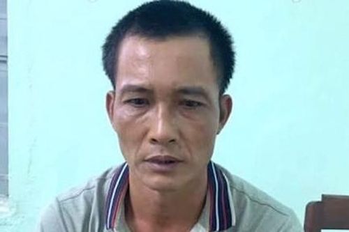 Lái xe tải đi trộm 3 con bò