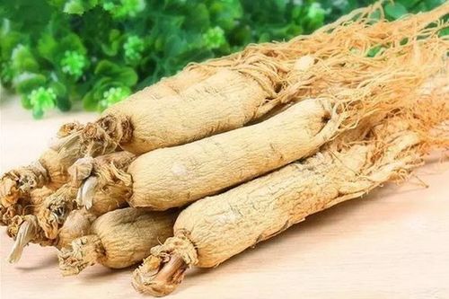 Bài thuốc chữa say nắng, say nóng