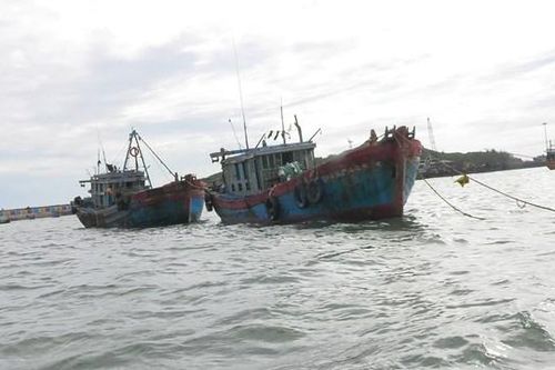 Xử phạt 2 tàu dã cào ở Quảng Ngãi đánh bắt sai tuyến
