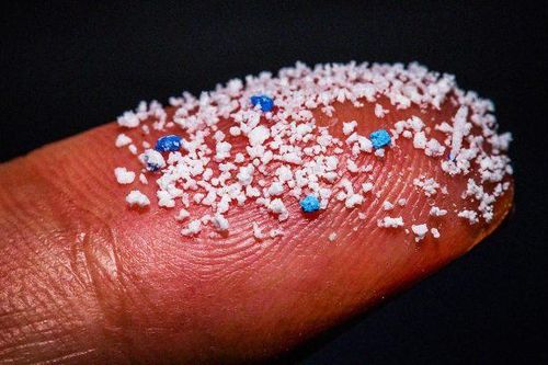 Các nhà khoa học Mỹ tìm thấy hạt vi nhựa trong nội tạng người